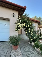 3 bedrooms House in Gyortelek, Hungary No. 199 - Image 2