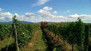 3 bedrooms Commercial property in Eger, Hungary No. 54