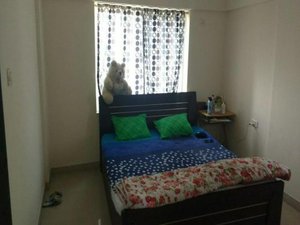 Studio in Pune, India No. 100