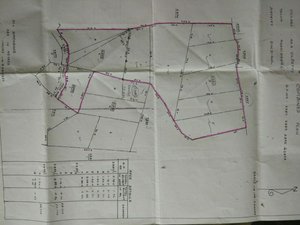 Commercial property in Coimbatore, India No. 29338