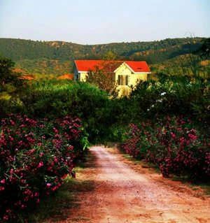 Land in New Delhi, India No. 29354