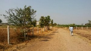 Land in Pune, India No. 29364