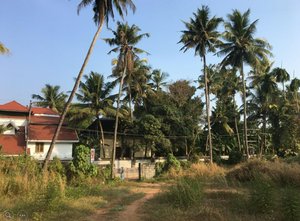 Land in Kochi, India No. 29365