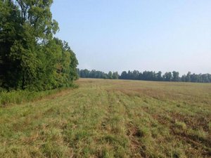 Land in Gurgaon, India No. 29437