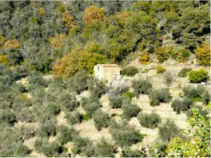 2 bedrooms House in Dolceacqua, Italy No. 103