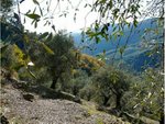 2 bedrooms House in Dolceacqua, Italy No. 103 - Image 2