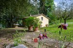 9 bedrooms Villa in Perugia, Italy No. 121828 - Image 45