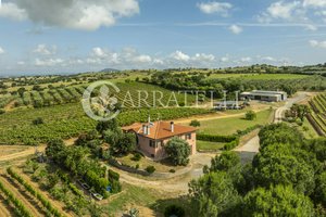 3 bedrooms Land in Grosseto, Italy No. 143961