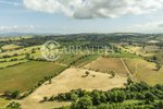 3 bedrooms Land in Grosseto, Italy No. 143961 - Image 13