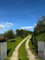 4 bedrooms House in Cortona, Italy No. 158 - Image 4