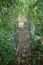 10 rooms Villa in Tortoreto, Italy No. 174113 - Image 47