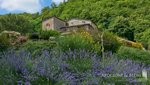 12 bedrooms House in Greve in Chianti, Italy No. 188809 - Image 29