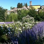 7 bedrooms Villa in Barga, Italy No. 202 - Image 3
