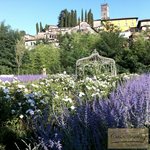 7 bedrooms Villa in Barga, Italy No. 202 - Image 5