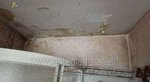 3 rooms Apartment in Ciciliano, Italy No. 205538 - Image 26