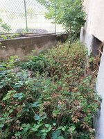 9 rooms House in Donnas, Italy No. 214264 - Image 37