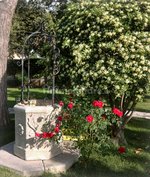 8 bedrooms Villa in Ardea, Italy No. 223925 - Image 4