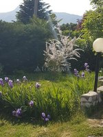 6 rooms Villa in Rovereto, Italy No. 229030 - Image 16