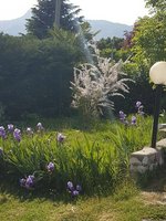 3 bedrooms Villa in Rovereto, Italy No. 229033 - Image 16