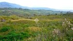 30000m² Land in Montecorvino Pugliano, Italy No. 232912 - Image 4