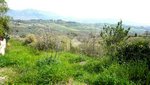 30000m² Land in Montecorvino Pugliano, Italy No. 232912 - Image 6