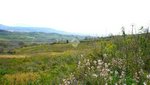 30000m² Land in Montecorvino Pugliano, Italy No. 232912 - Image 7