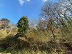 34203m² Land in Castelnuovo di Porto, Italy No. 234492 - Image 12