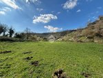 34203m² Land in Castelnuovo di Porto, Italy No. 234492 - Image 13