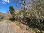 34203m² Land in Castelnuovo di Porto, Italy No. 234492 - Image 16