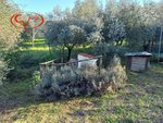 1768m² Land in Montevarchi, Italy No. 235532 - Image 2