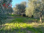 1768m² Land in Montevarchi, Italy No. 235532 - Image 4