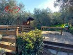 1768m² Land in Montevarchi, Italy No. 235532 - Image 9
