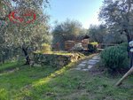 1768m² Land in Montevarchi, Italy No. 235532 - Image 19