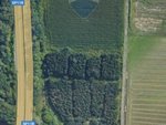 10000m² Land in Settimo Milanese, Italy No. 236841 - Image 2