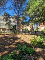 21 room Villa in Brindisi, Italy No. 237518 - Image 32