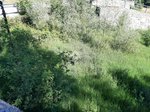 1080m² Land in Gignod, Italy No. 237701 - Image 21