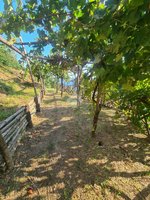 3 rooms Apartment in Vietri sul Mare, Italy No. 238125 - Image 7