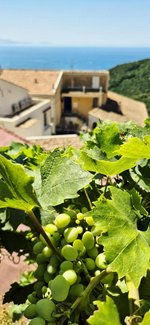 3 rooms Apartment in Vietri sul Mare, Italy No. 238125 - Image 12