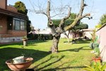 3 rooms Villa in Ardea, Italy No. 238175 - Image 38