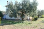4 rooms Villa in Ardea, Italy No. 238323 - Image 3