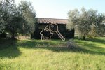 4 rooms Villa in Ardea, Italy No. 238323 - Image 7