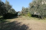 4 rooms Villa in Ardea, Italy No. 238323 - Image 8