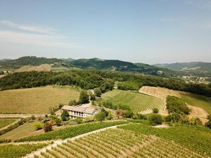 25 rooms Hotel in Murisengo, Italy No. 238531