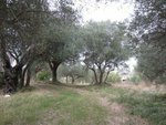 15 rooms House in Cingoli, Italy No. 238547 - Image 32