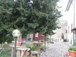 15 rooms House in Cingoli, Italy No. 238547 - Image 36