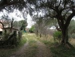 15 rooms House in Cingoli, Italy No. 238547 - Image 48