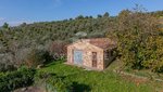 15 rooms House in San Venanzo, Italy No. 238564 - Image 25