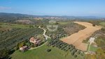 15 rooms House in San Venanzo, Italy No. 238564 - Image 42