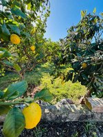 Studio in Syracuse, Italy No. 242530 - Image 10