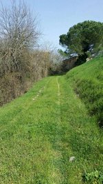 10 bedrooms House in Peccioli, Italy No. 246 - Image 5